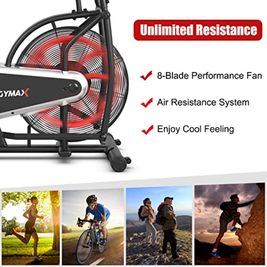 Home gym cardio training: fan  - Phone Holder 评论和价格